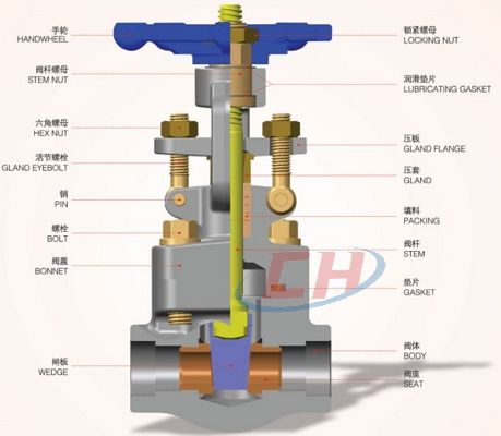 不銹鋼內螺紋閘閥三維圖